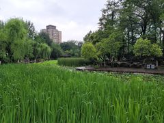 -莲湖公园