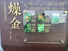 -华农酸奶文化馆