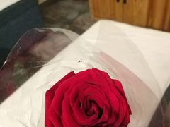 -迈格笙SPA·影院式足道·采耳(金桥店)