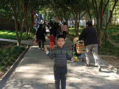 -上海佘山国家森林公园西佘山园