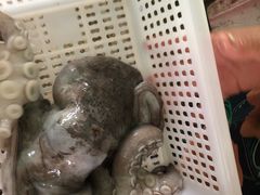 -外伶仃岛海鲜市场
