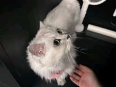 -TOP健身私教工作室(侨香店)
