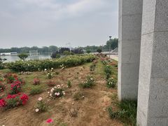 -石家庄市植物园