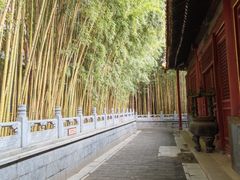 -潭柘寺景区