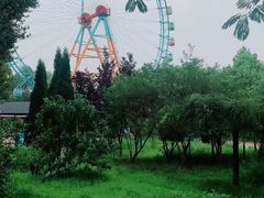 -南戴河国际娱乐中心