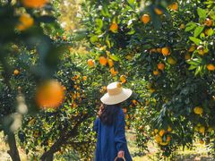 -滨江森林公园-真人CS野战场