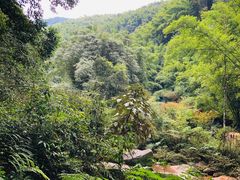 -四洞沟景区
