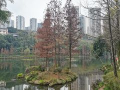 -重庆彩云湖湿地公园