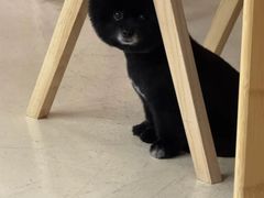 -木及咖啡