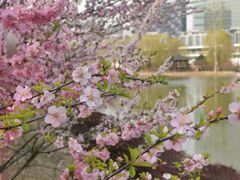 -大兴滨河森林公园