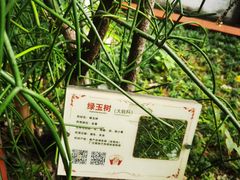 -广州神农草堂中医药博物馆