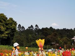 -保利石象湖景区