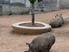 -西霞口神雕山野生动物世界