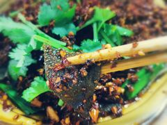 热伴毛肚-人和水上飘(第一家店)