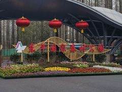 -东平国家森林公园
