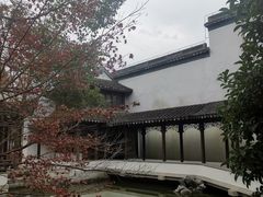 -秋霞圃