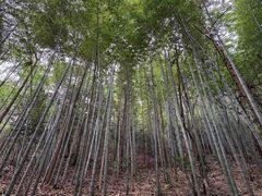 -敬亭山风景名胜区