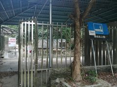 -碧水峡漂流