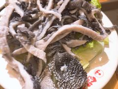 草原千层肚-锅首鲜品火锅(鸳鸯店)