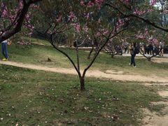 -廊坊市自然公园