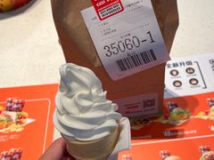 -麦当劳(石家庄北国店)