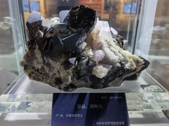 -湖南省地质博物馆