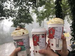 -茶颜悦色(岳麓山顶店)