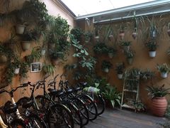 拖板鞋青年旅舍-拖板鞋咖啡旅行酒店(春熙路地铁站店)