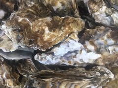 -渔家小院观海海肠捞饭地方菜(环海中路店)