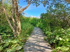 -白草畔自然风景区