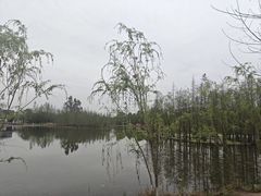 -白鹭湾湿地公园