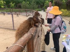 -太原动物园