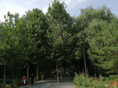 -东升八家郊野公园