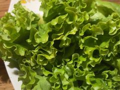 -恩你小木屋·韩式料理(假日广场店)