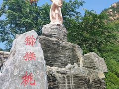-大岭沟猕猴桃谷风景区