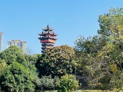 -塔子山公园