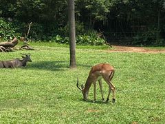 -铭聚章鱼土笋冻(松柏店)