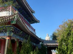 -天津妈祖文化园