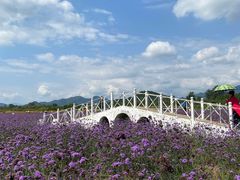 -北京东方普罗旺斯薰衣草庄园