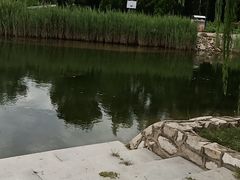 -绿岛公园(滨海新区)