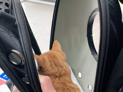 -爱诺耐芙动物医院(万博店)