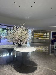 -广州美莱医疗美容医院