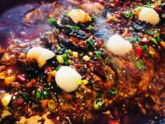 -青炉里青花椒鲜活烤鱼(理工大店)