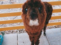 -美家乐农庄·露营·团建(大治路店)