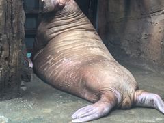 -哈尔滨波塞冬海底世界