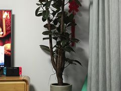 -双季花艺园艺市场(浦东店)