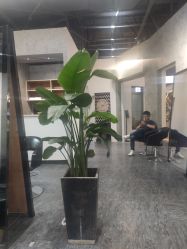 -发饰美男士增发补发假发定制店