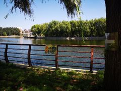 -长春公园(普阳街道)