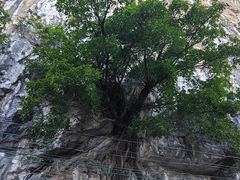 -桂林独秀峰王城景区