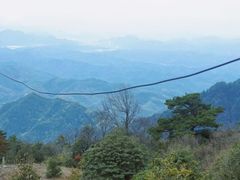 -天目山大树王景区